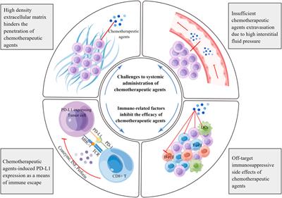 Combinatorial regimens of chemotherapeutic agents: A new perspective on raising the heat of the tumor immune microenvironment